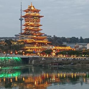 田野里追蝶的游者 头像