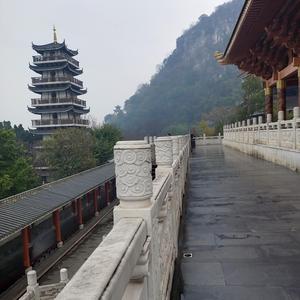 土豆喜欢马玲薯 头像