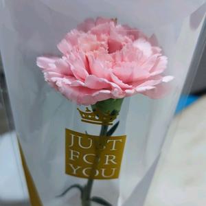 其乐融融草莓3E8 头像