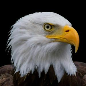 梦回1986年 头像