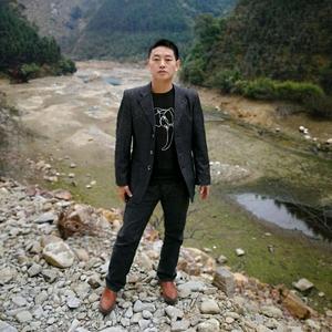 小锐随风去流浪