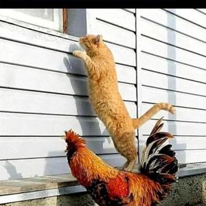 汉卿娱人生 头像