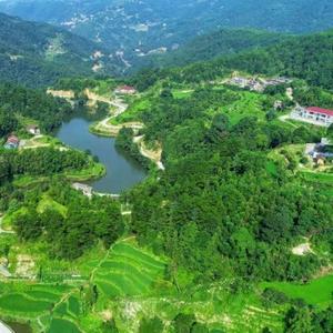 杨砍柴
