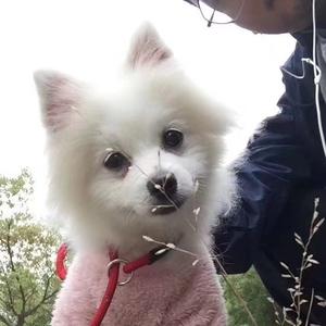 优优民间故事