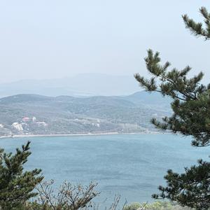 七席 头像