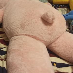 创业途中的杰哥 头像