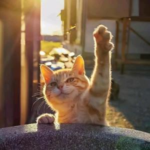 亿diǎn生活 头像