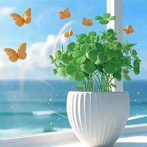 清爽小鱼Ss 头像