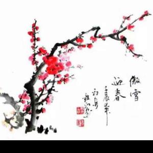 一剪梅LL 头像