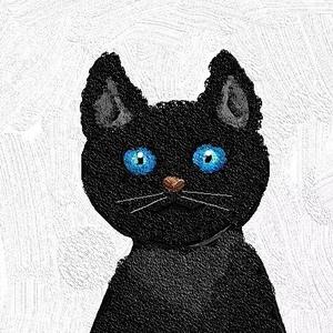 猫洛托夫Max 头像