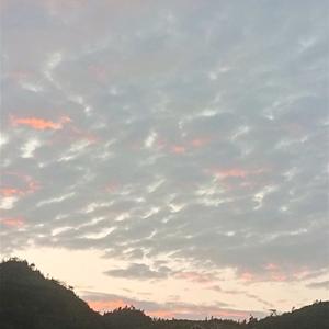 吹风等个车 头像