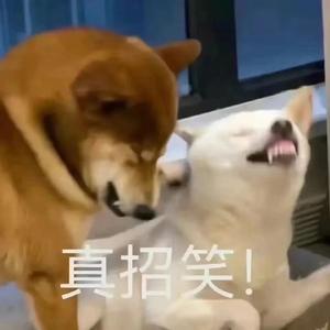智勇双全湖泊D 头像