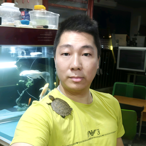 华得得壁纸 头像