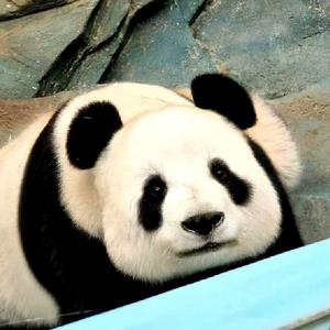 白博力 头像