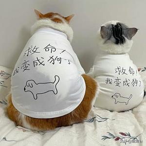 夜的第三章 头像