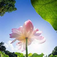 欢喜拥抱幸福 头像