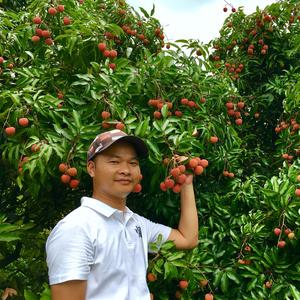 田园小叔头像