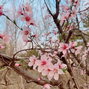 美满生活家 头像