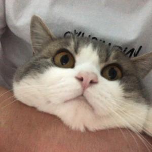 残缺乄铅笔头
