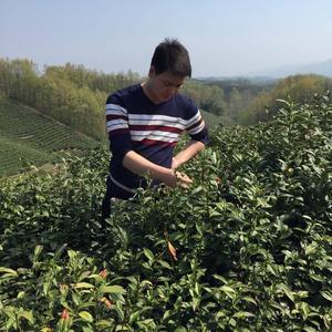 制茶人大山头像