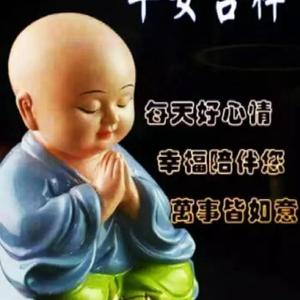 正直梦想家kD