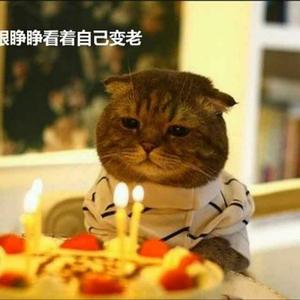 不负春光明媚