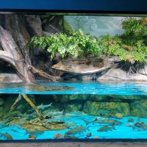 微笑向日葵 头像