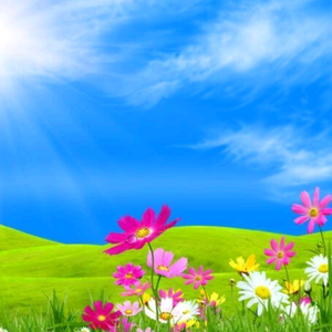 木火通明8419613 头像