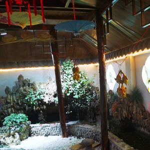 异度宠物王国 头像