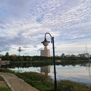 老老马先生 头像