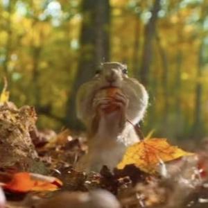 九层琉璃塔塔尖 头像