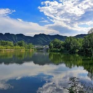 鹤兰山报晓 头像
