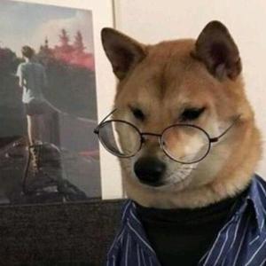 小C测评 头像