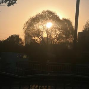 一尘言琐事 头像