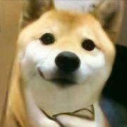 灵小韬-游戏Player 头像