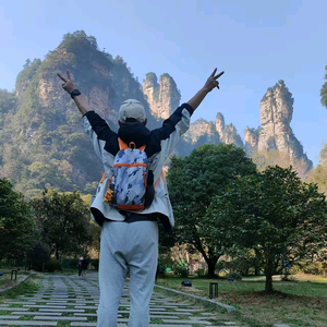 张家界地接张雄导游 头像
