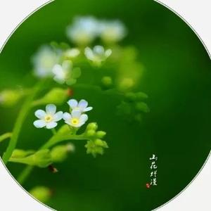 岁月静好的话 头像