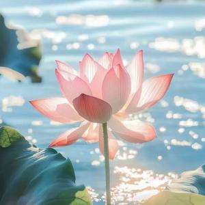 老黄退休生活 头像