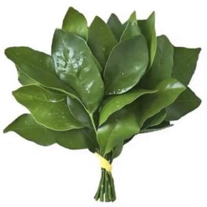 我是冉冉rr 头像