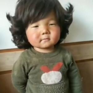 逗逗钢哥