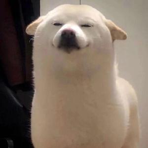 三文鱼蛋卷 头像