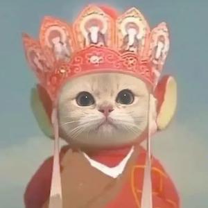 DS评论老六 头像