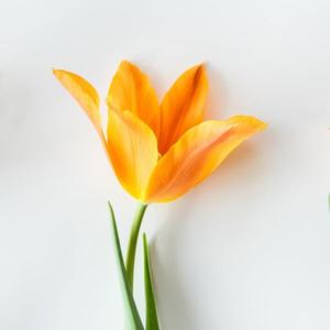 上进的扑克1