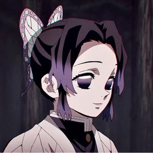 自强不息蝴蝶忍 头像