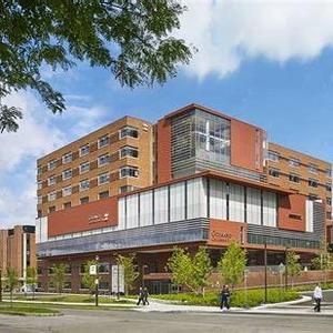 Next未来学校建设学苑 头像