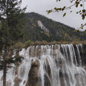 大神自娱自乐 头像