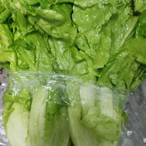菜菜 头像