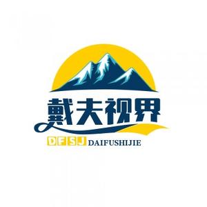 戴夫视界 头像