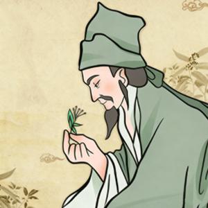 仲景岐黄术 头像