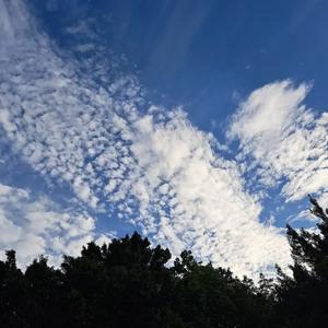 距离县城有三十六公里，云南元谋土林景区，与路南石林，陆南彩南沙林，称为云南三大天造奇林，元谋土林是由长期流水而 侵蚀而形成自然地貌，而这些奇异 ...